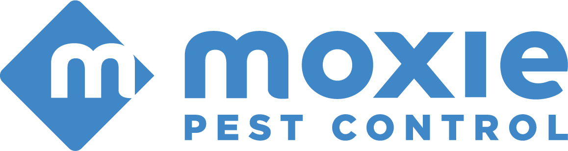 MPC CALL SUPPORT SERVICES LLC